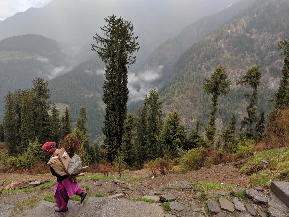 Satyam Home Stay主图