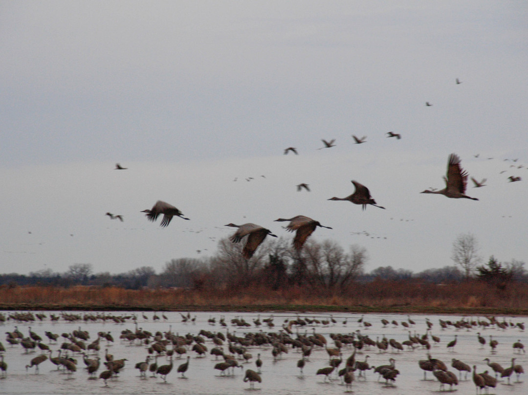 Audubon's Rowe Sanctuary景点图片