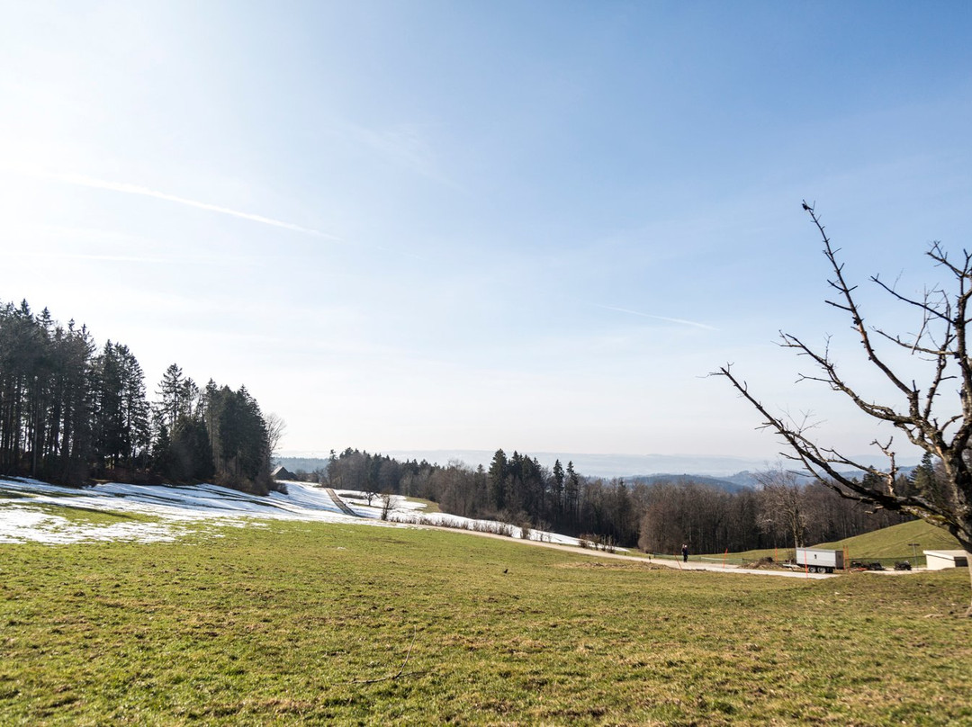 Felsenegg-Stallikon必去景点