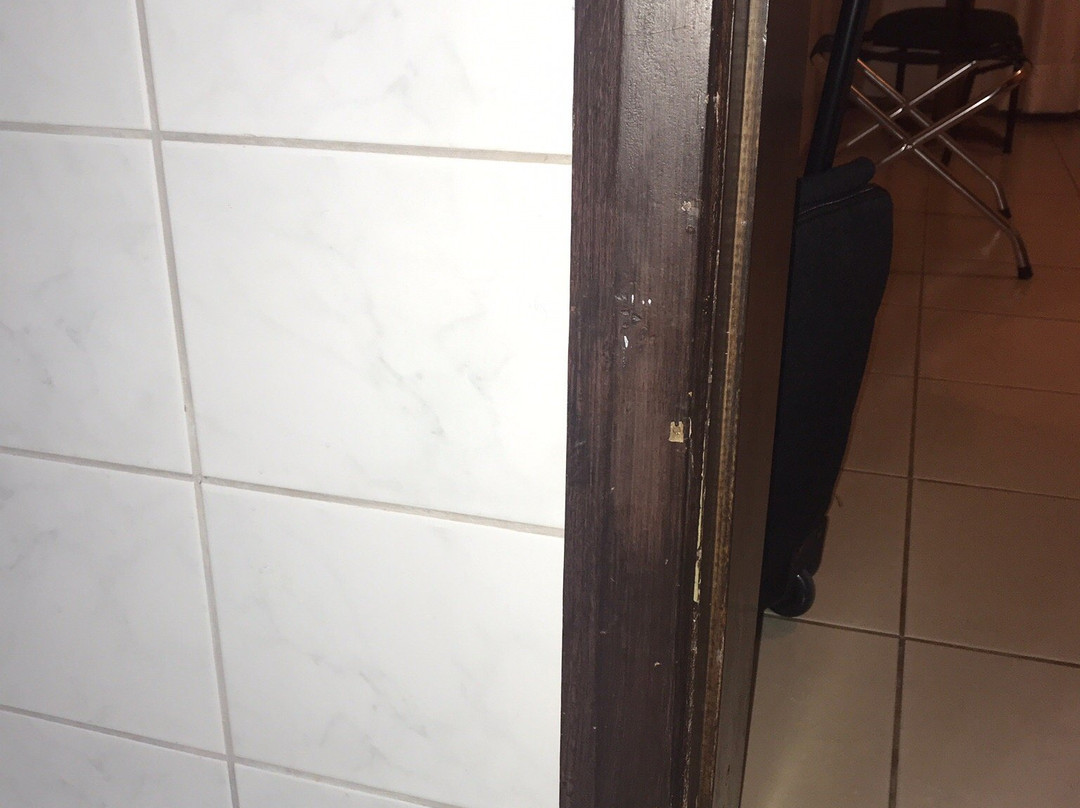 San Silvestre Palace Hotel主图