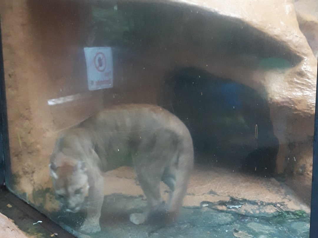 Bioparque Los Ocarros-比亚维森西奥必去景点