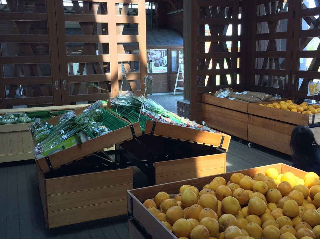 Michi No Eki Hausjärvi Naie-奈井江町必去景点