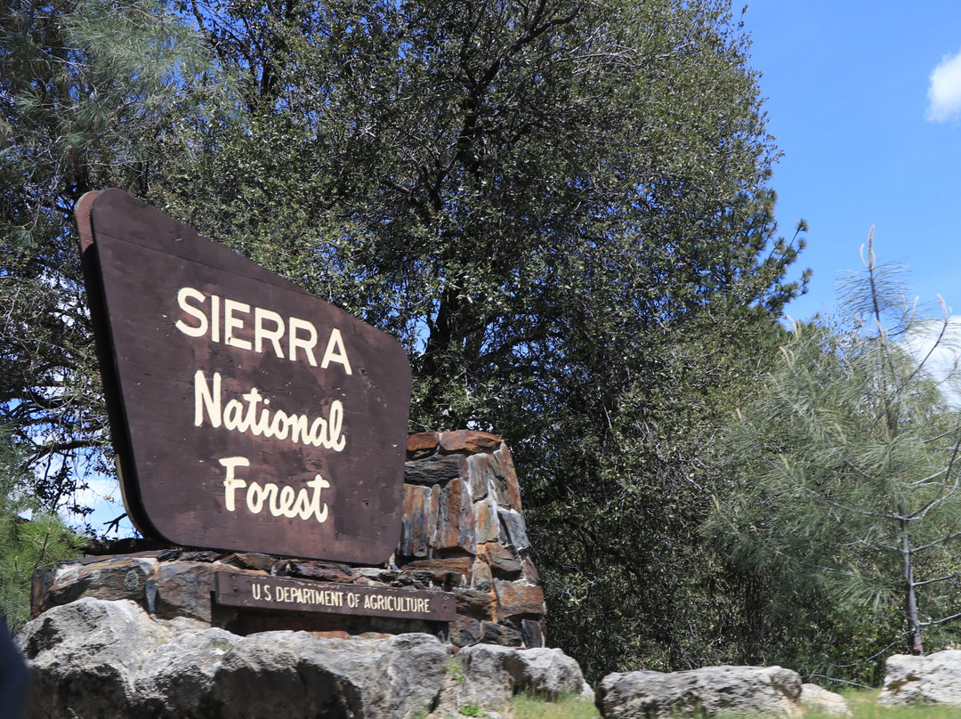 Sierra National Forest景点图片
