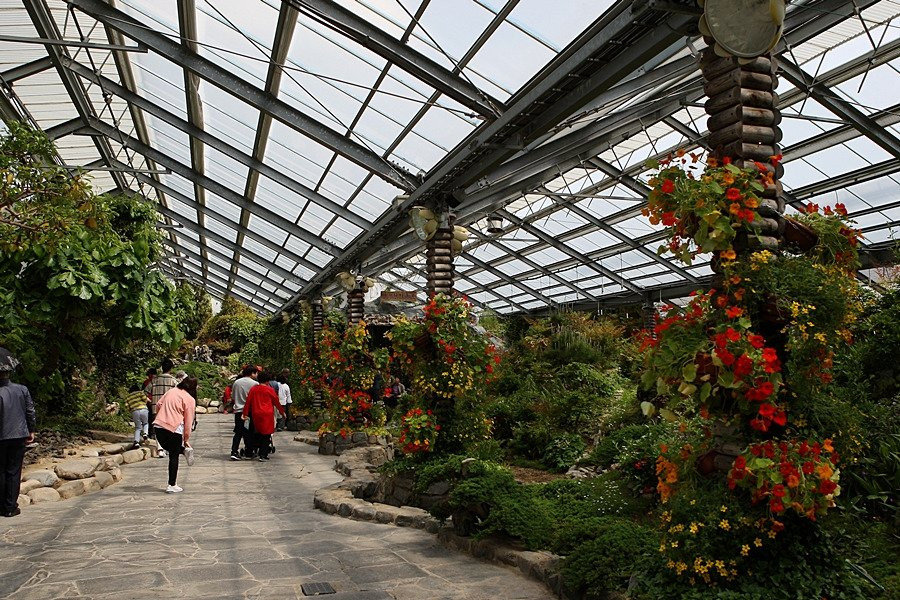 Hampyeong Expo Park - Natural Ecological Museum景点图片