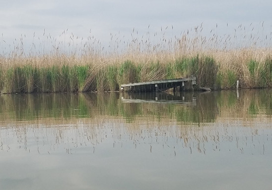 Ashton Tract Augustine Wildlife Area-Middletown必去景点