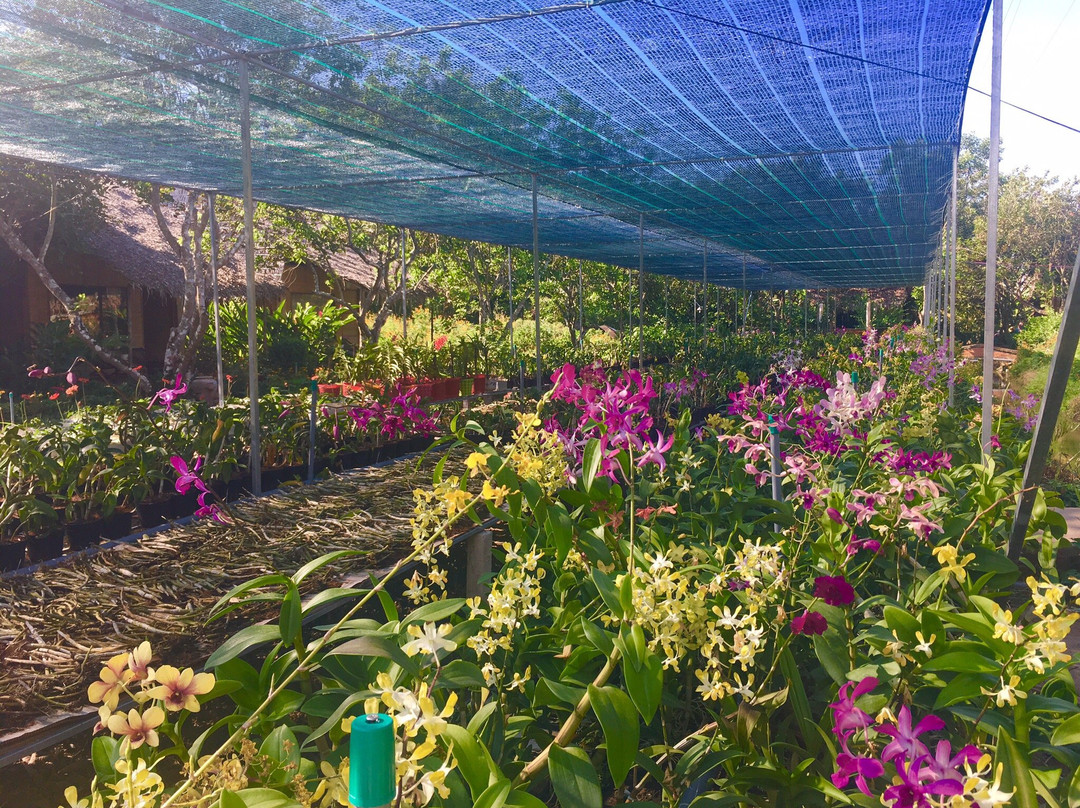 湄公生态小屋平房主图