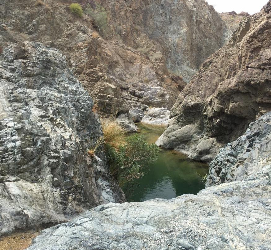 Wadi Kitnah Pools-Buraimi必去景点
