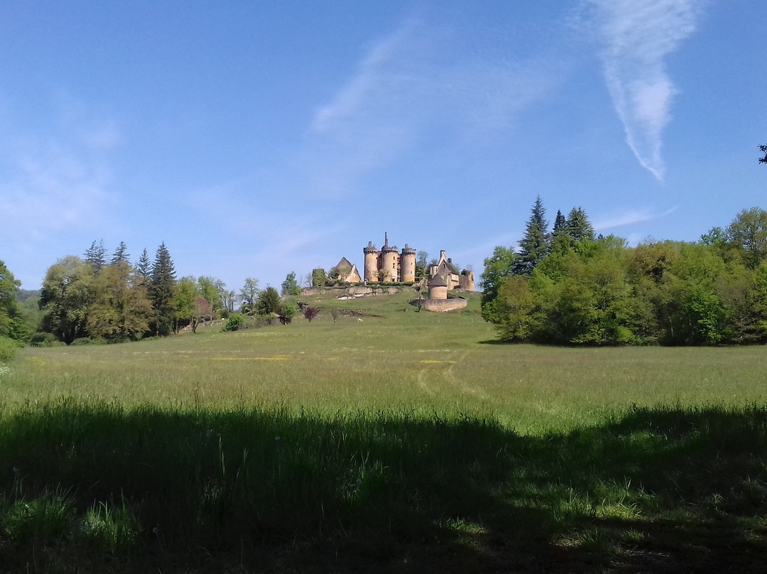 Saint-Vincent-le-Paluel旅游攻略图片