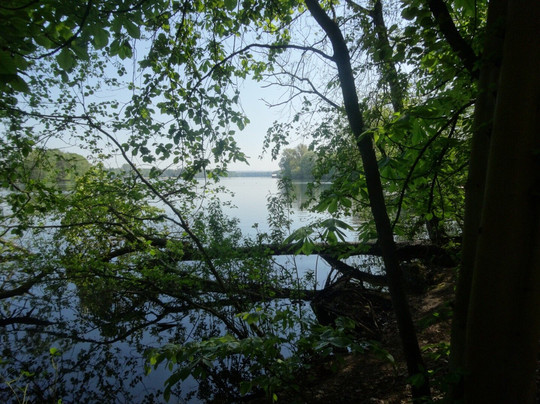 Unterbacher See-杜塞尔多夫必去景点