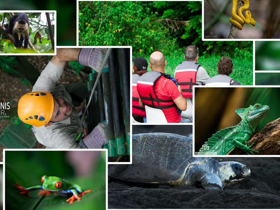 Tuanis Tour Tortuguero景点图片