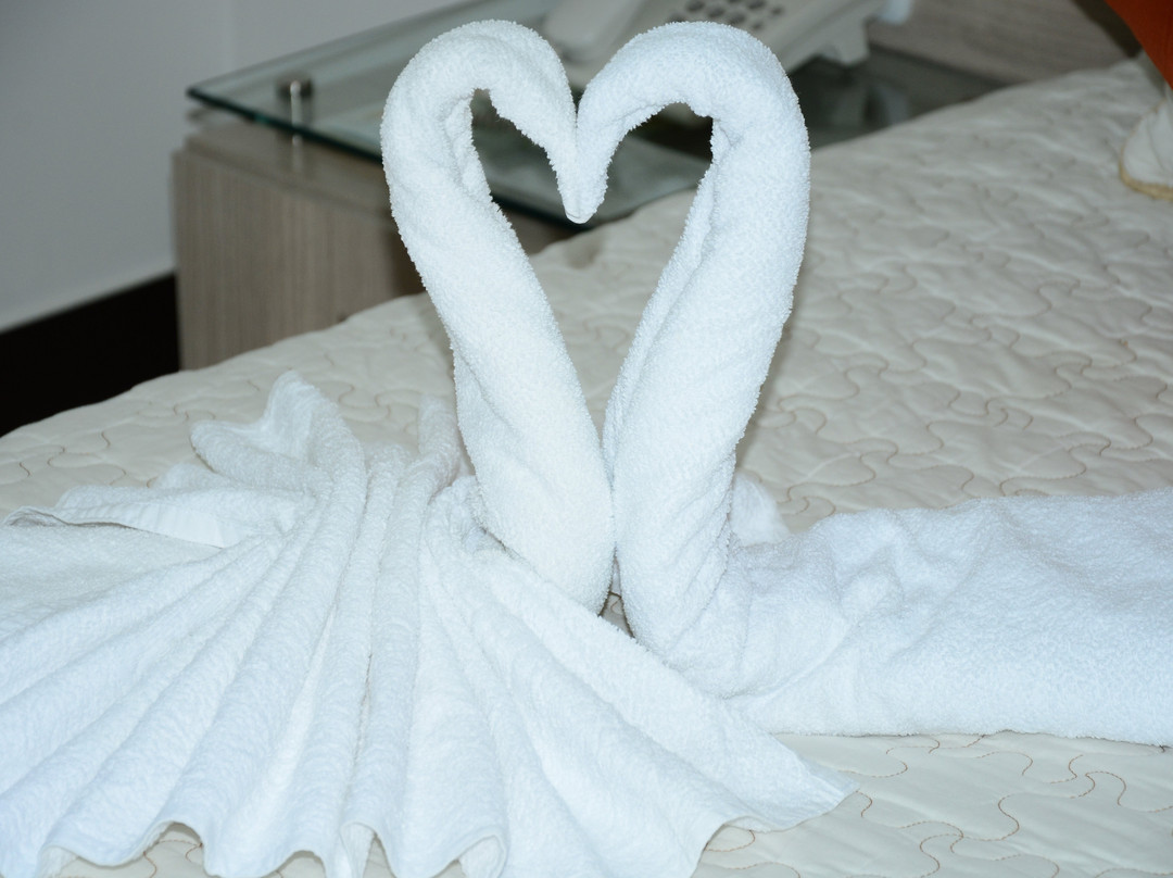 Gran Hotel International Sanbara主图