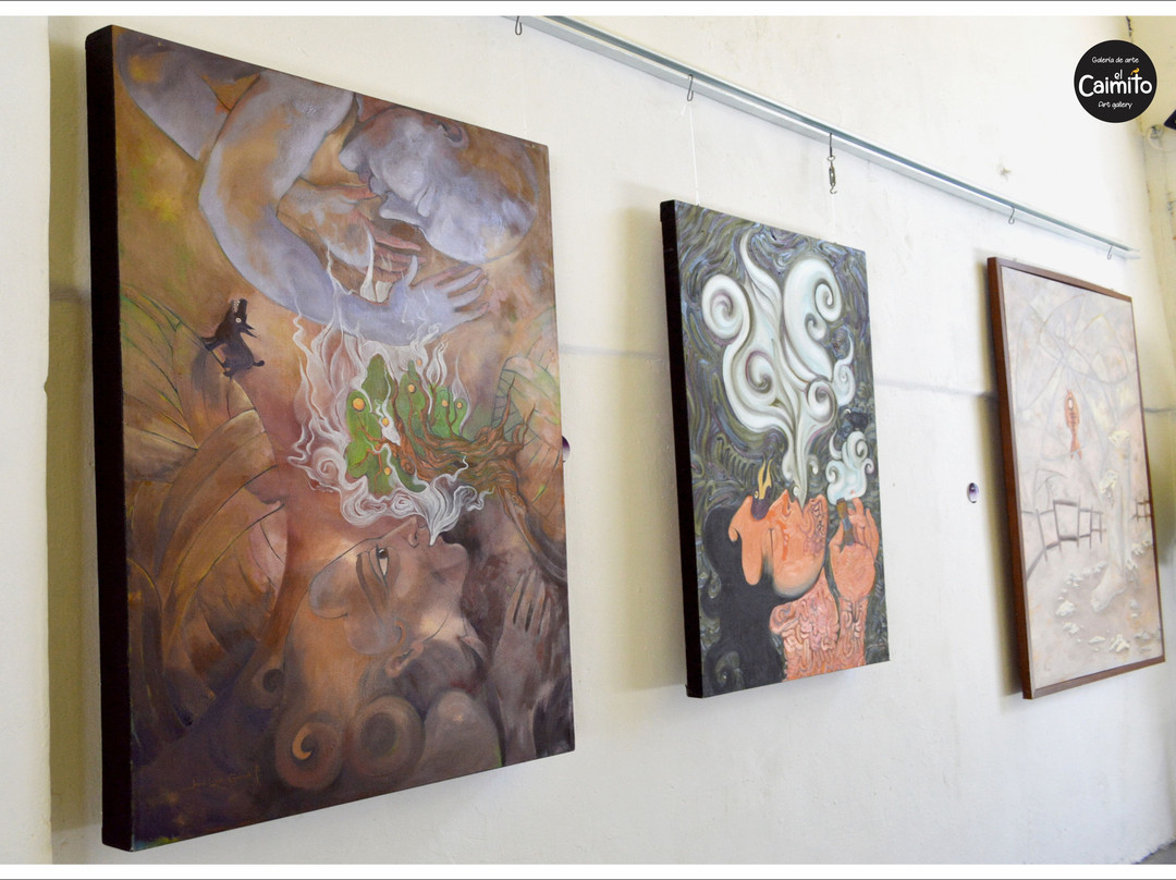 Galería de arte El Caimito-梅里达必去景点