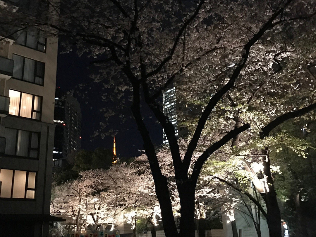 Sakurazaka-Akasaka必去景点