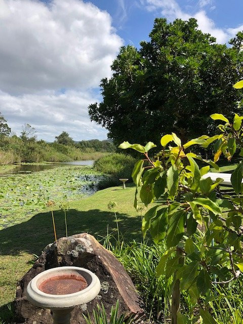 Bitou River Lodge主图