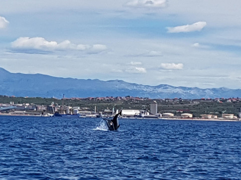 Zadar Excursions-扎达尔必去景点