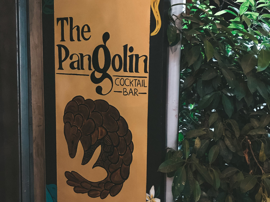 The Pangolin Bar景点图片