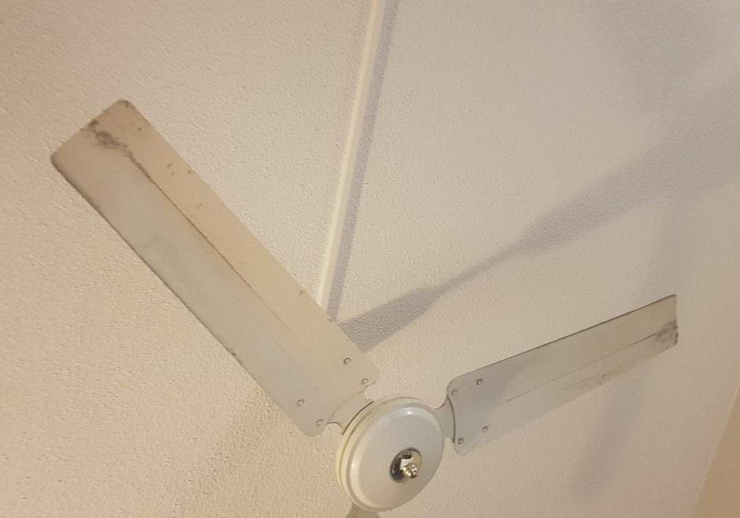 Mount Wellington Motel主图