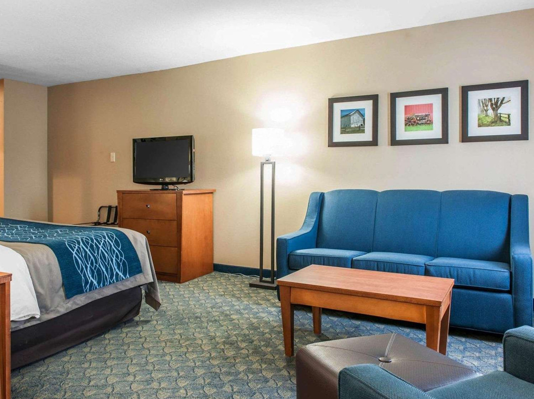 Comfort Inn & Suites主图