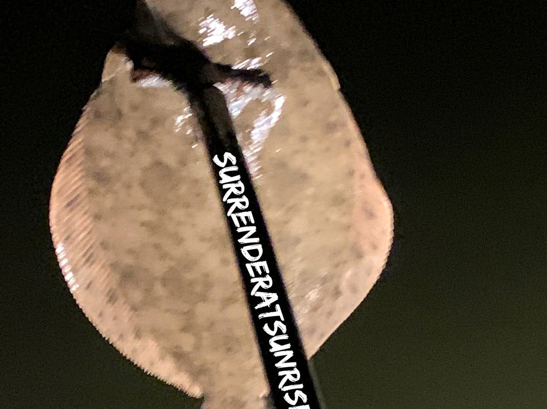 Surrender At Sunrise - Flounder Gigging Trips-Aransas Pass必去景点