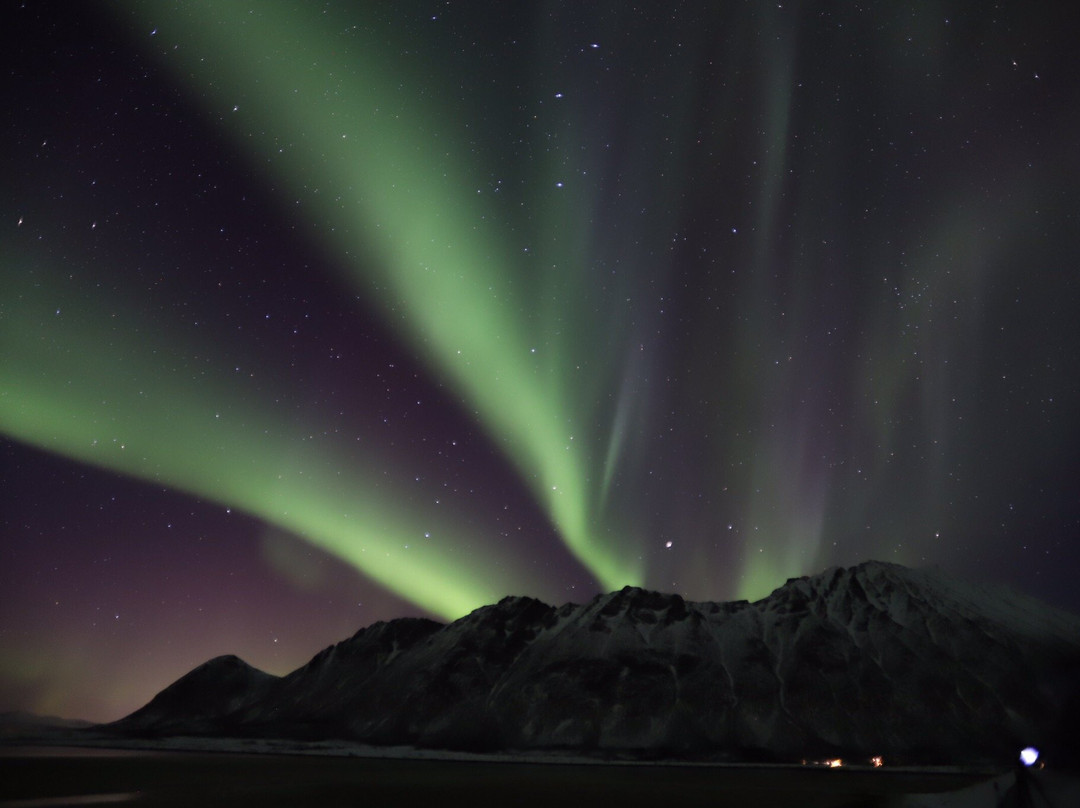 Lofoten Photo Tours景点图片