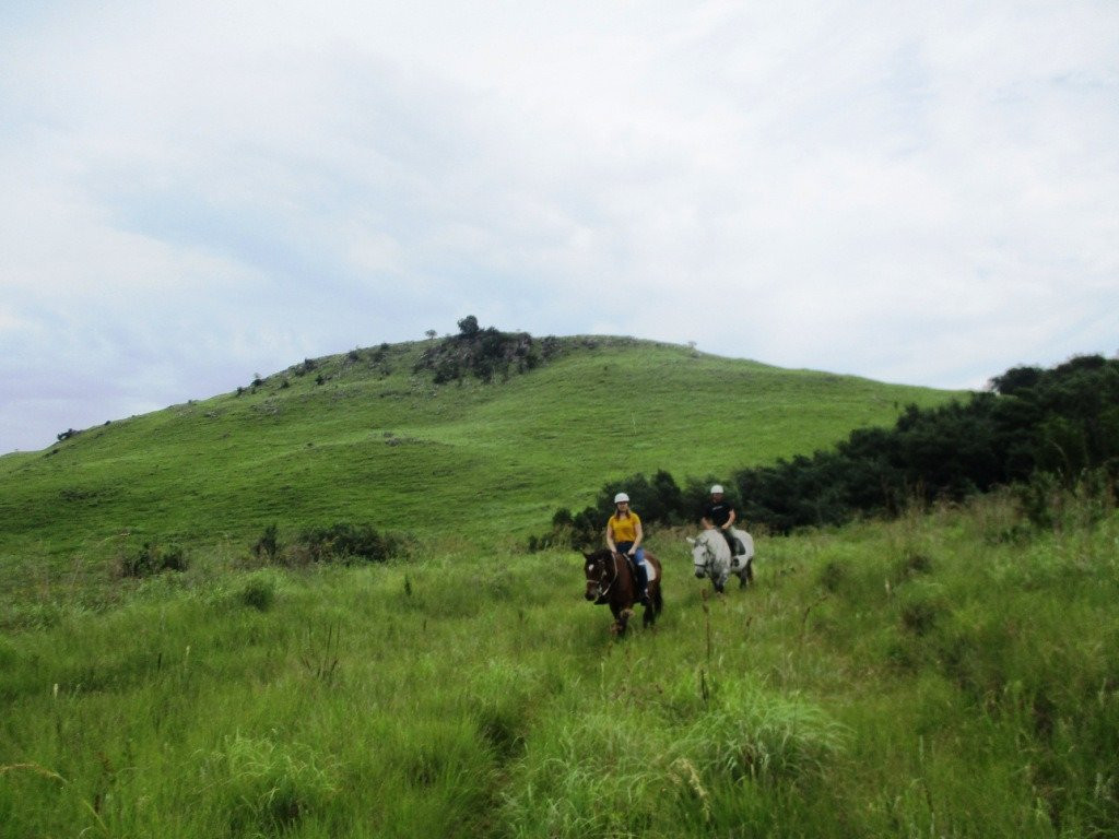 Stormy Hill Trails & Tails-Boston必去景点