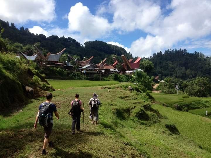 Sulawesi Culture and Nature Tour景点图片