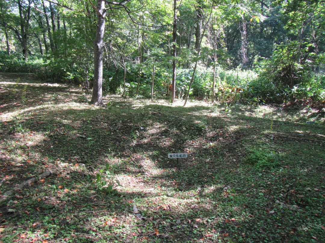 Forest of Tokoro Remains-北见市必去景点