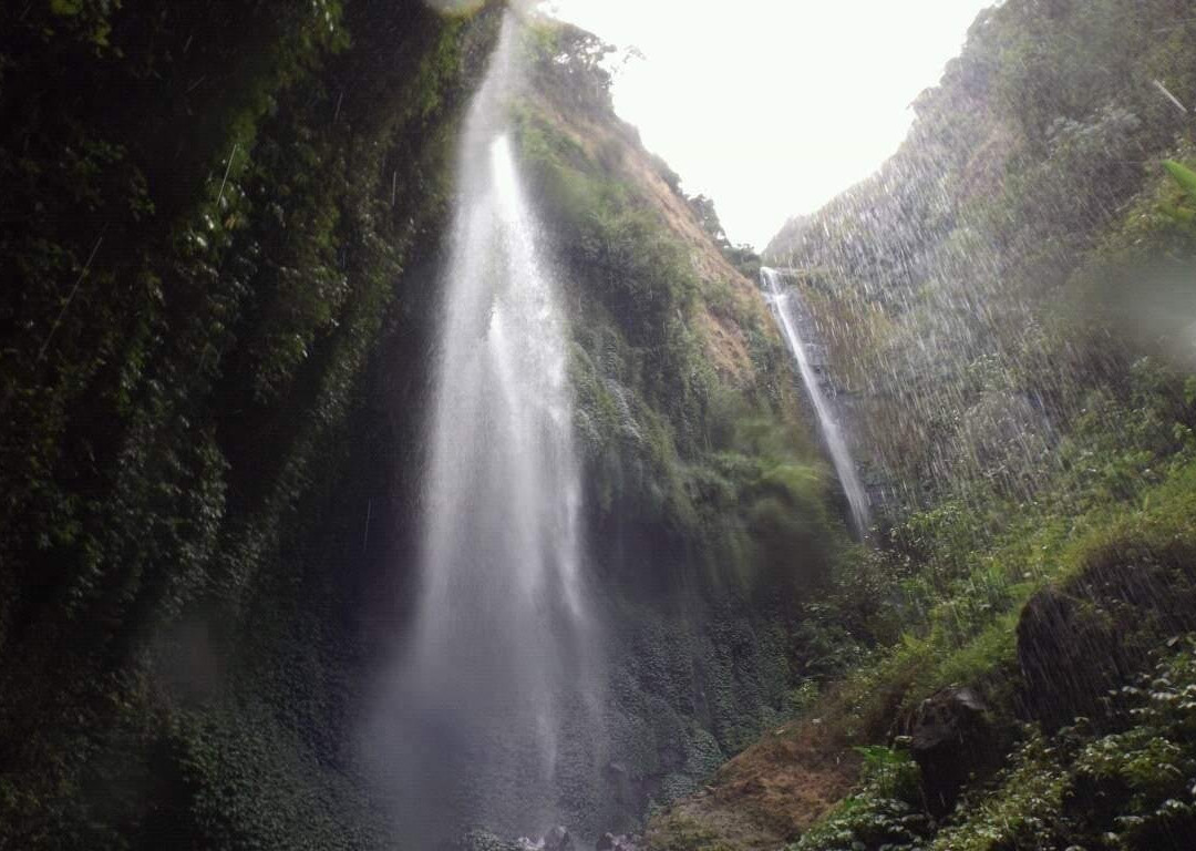 Javaline trip-泗水必去景点