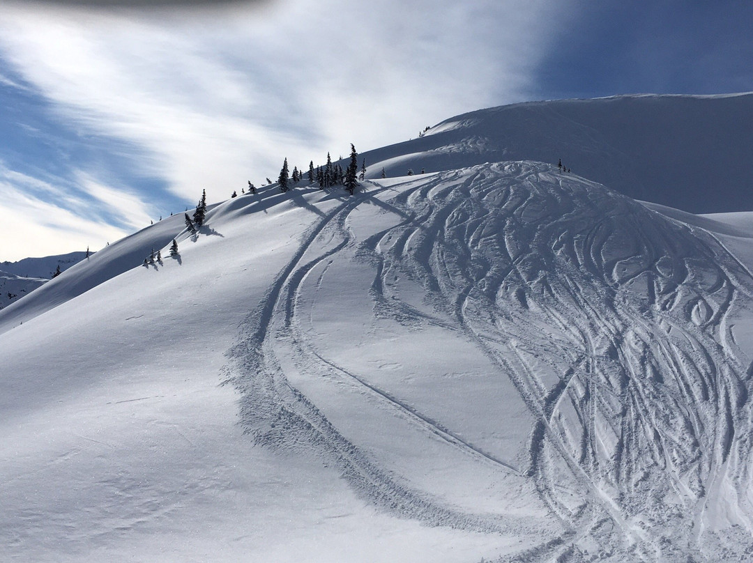 Selkirk Tangiers Heli Skiing-雷夫尔斯托克必去景点