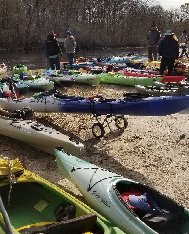 Edisto River Adventures景点图片