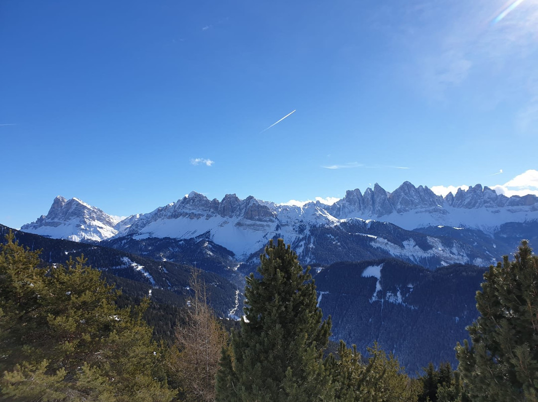 Mountain Residence Alpenhof主图