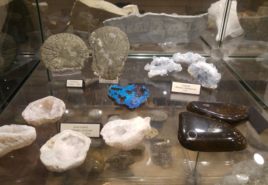 Mr Wood's Fossils-爱丁堡必去景点