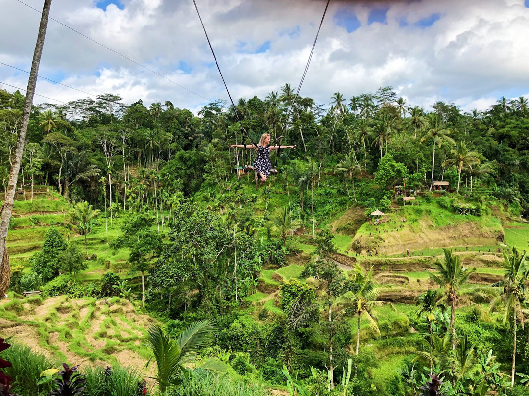 Bali Tour Activities-登巴萨必去景点