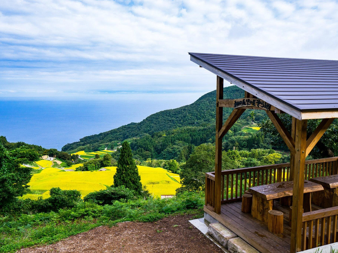 Iwakubi Shoryu Tanada-佐渡市必去景点