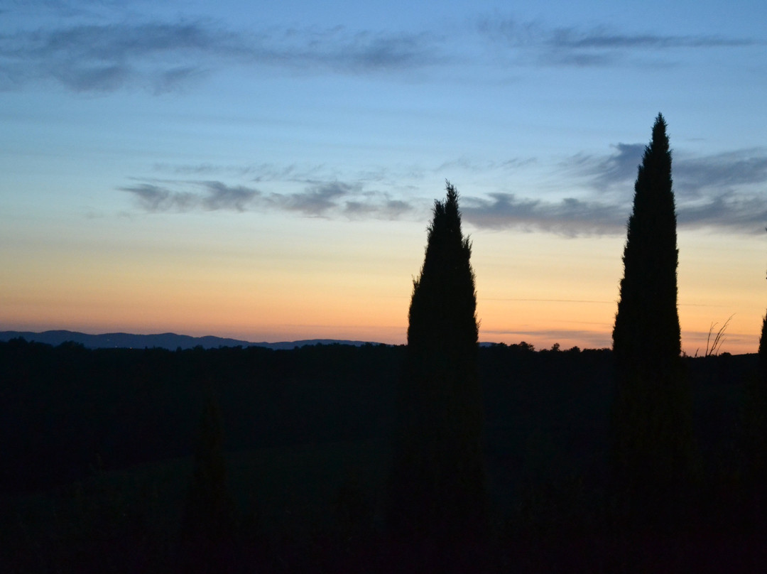 Agriturismo Podere Casato主图