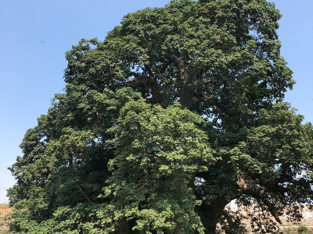 Hyderabad Golf Association (HGA)-海德拉巴必去景点