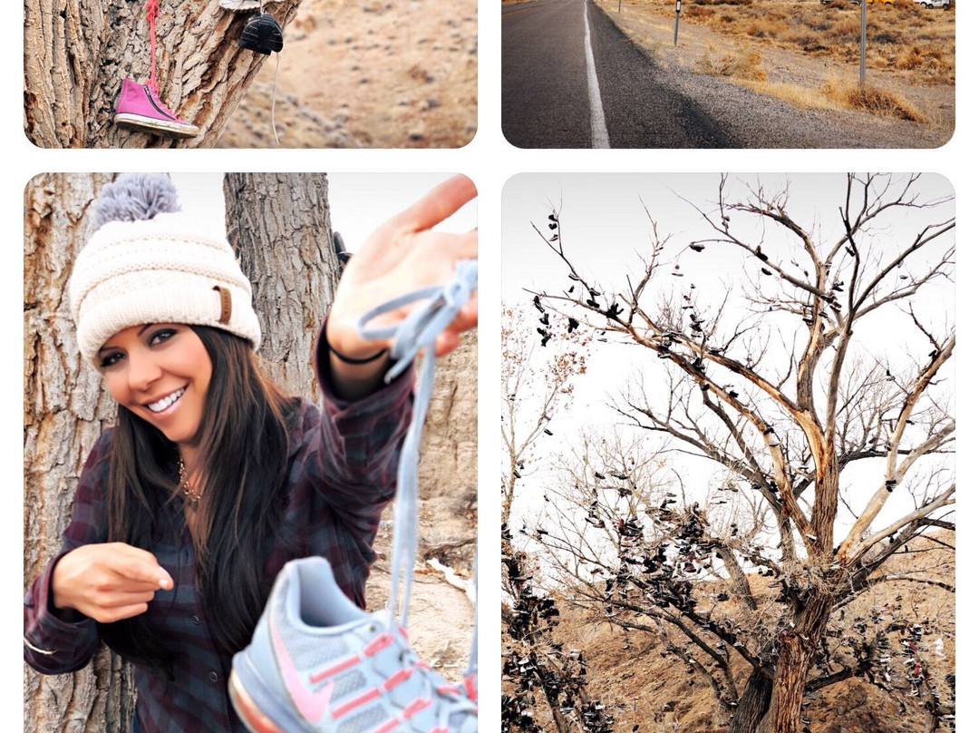 Shoe Tree-Fallon必去景点