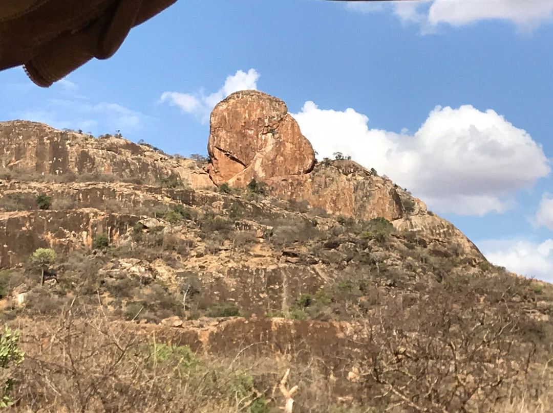 Kalama Community Conservancy-Samburu District必去景点