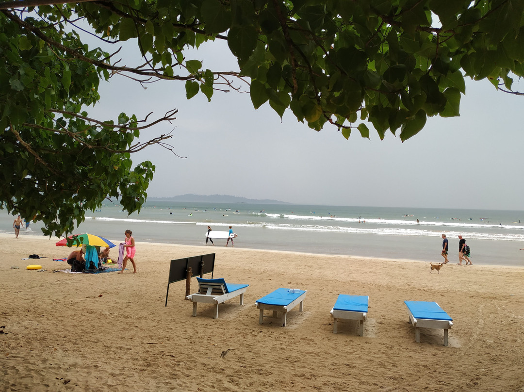 Surf 'n Lanka景点图片