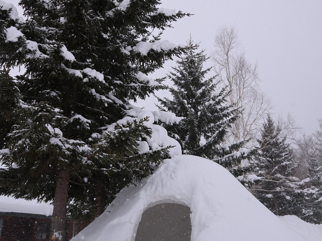 落叶松金山湖酒店主图