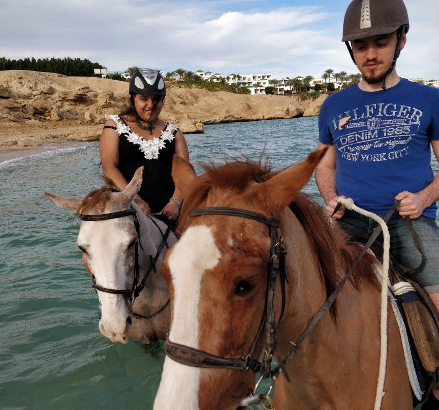 The Stable-沙姆沙伊赫必去景点