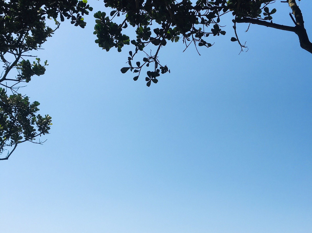 Tinley Manor Beach-巴利托必去景点