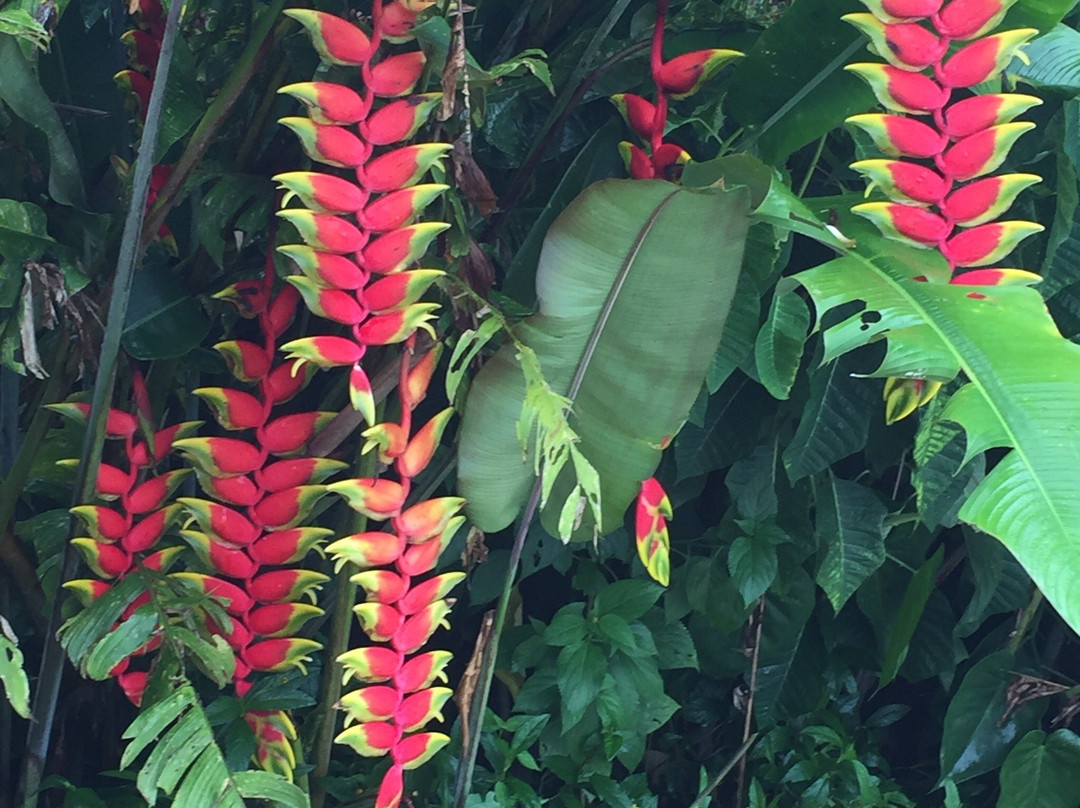 Fazenda Sao Luiz主图