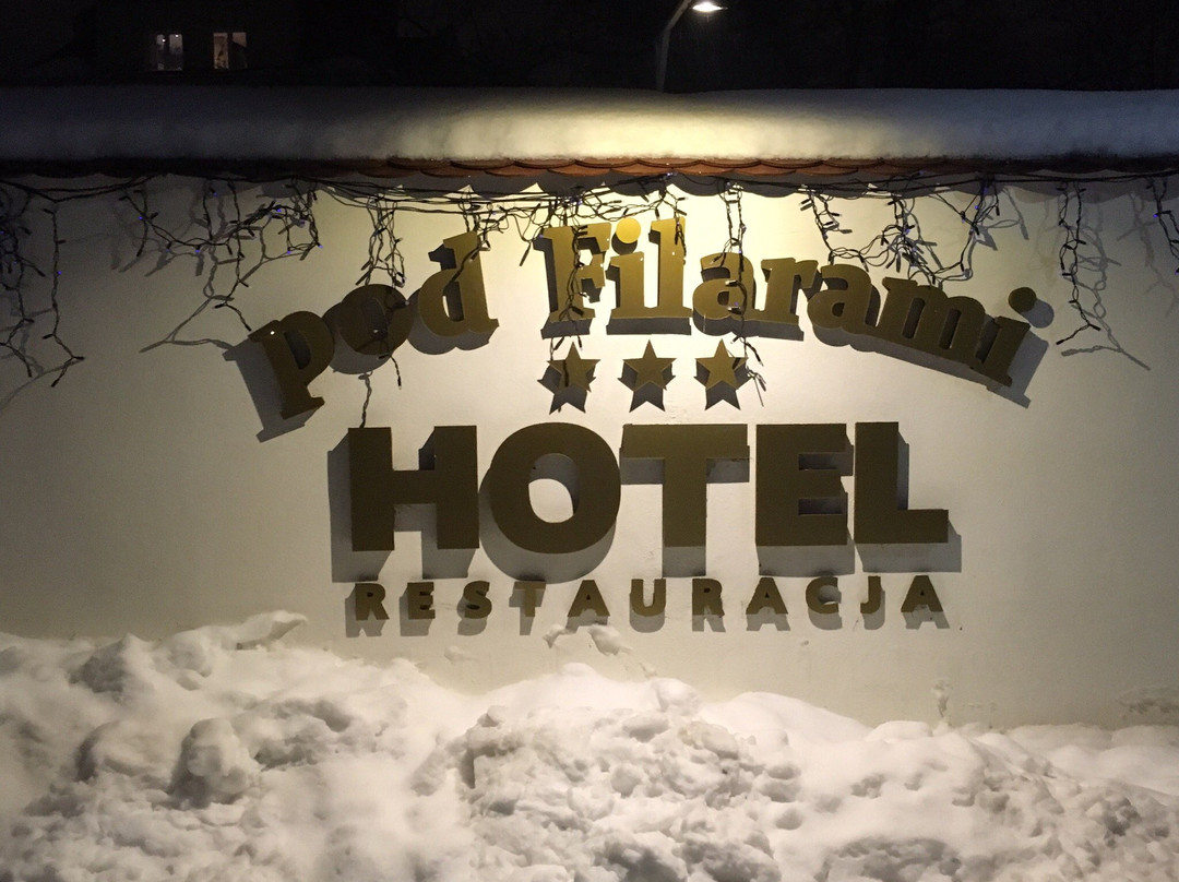 Hotel Pod Filarami主图