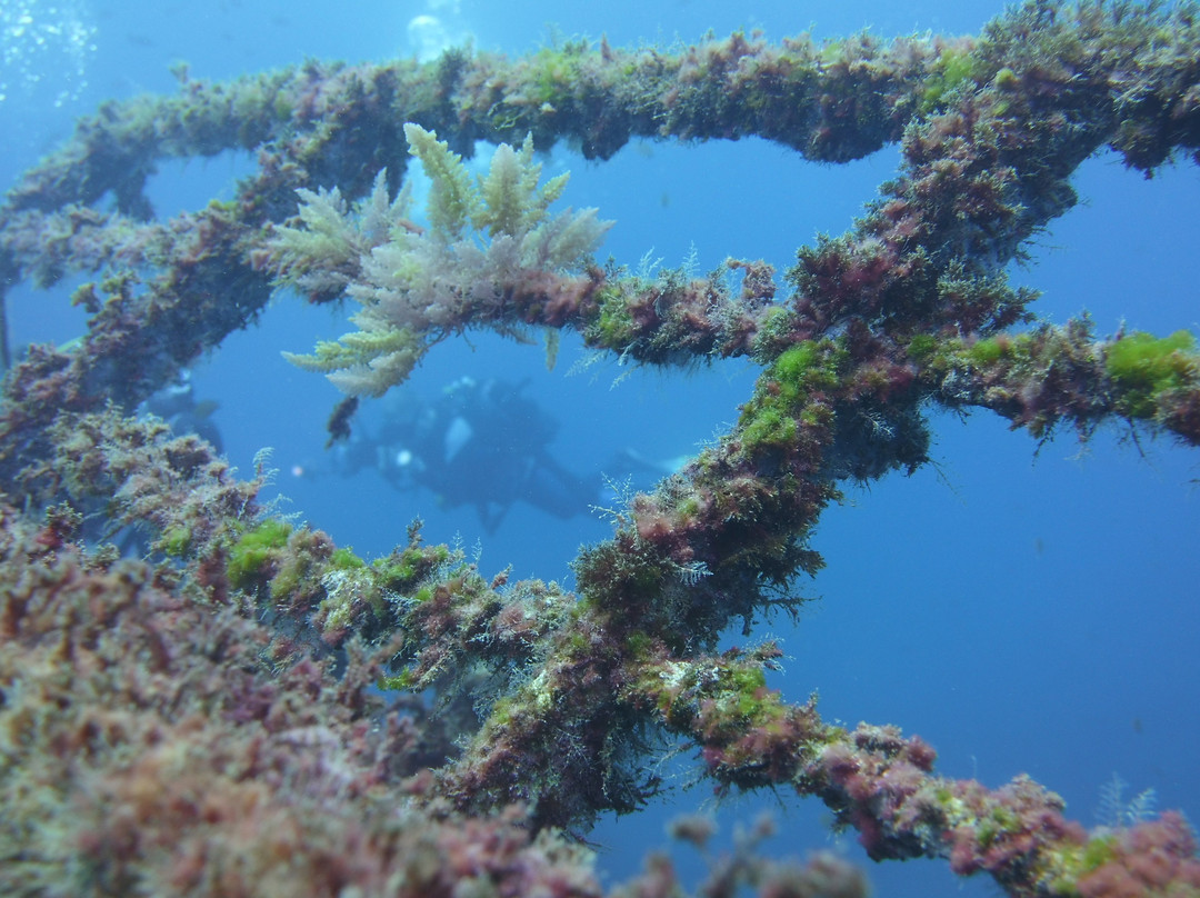 Dawn Dives Academy Lanzarote景点图片