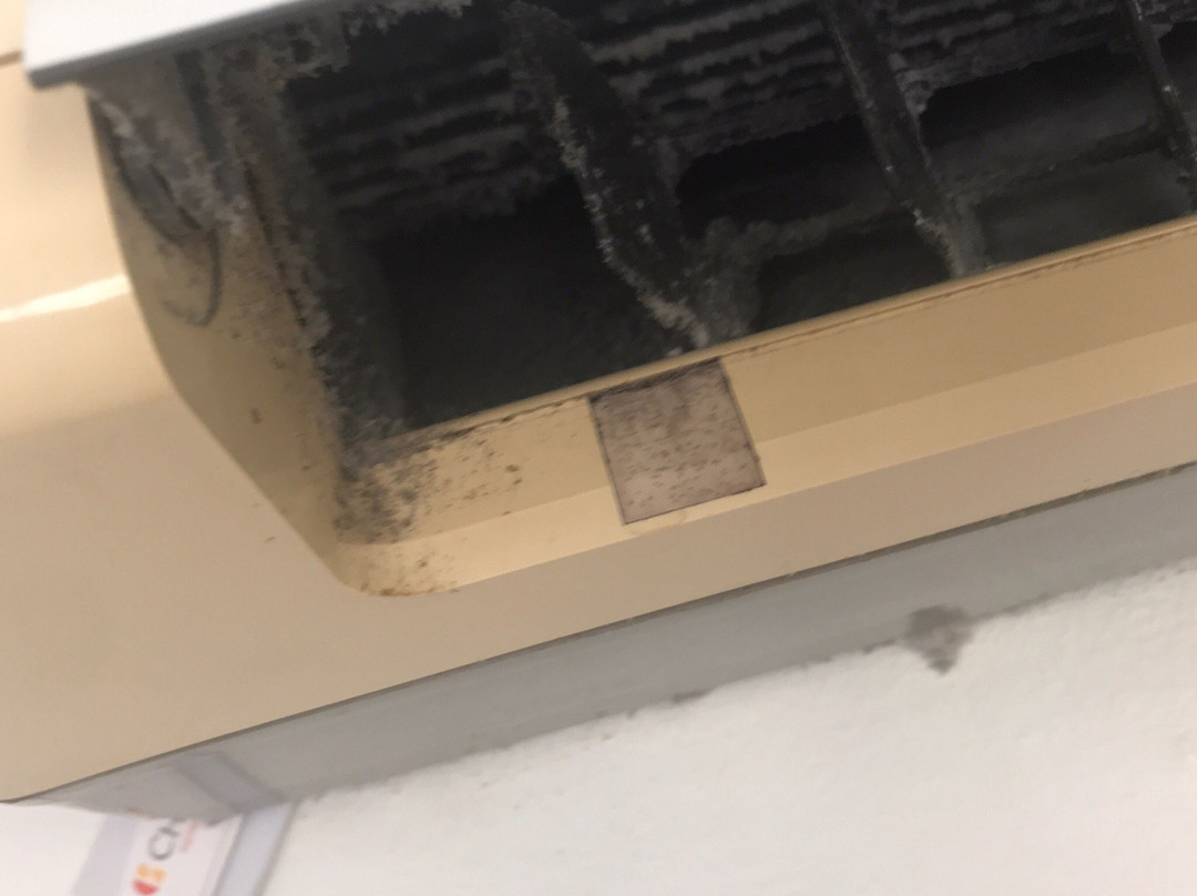 Comfort Inn All Seasons主图