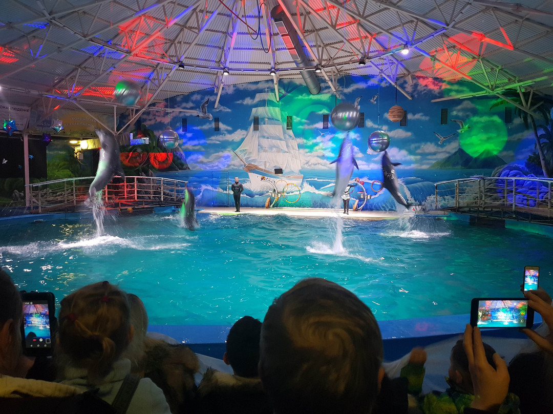 Dolphinarium Atlantida-下诺夫哥罗德必去景点