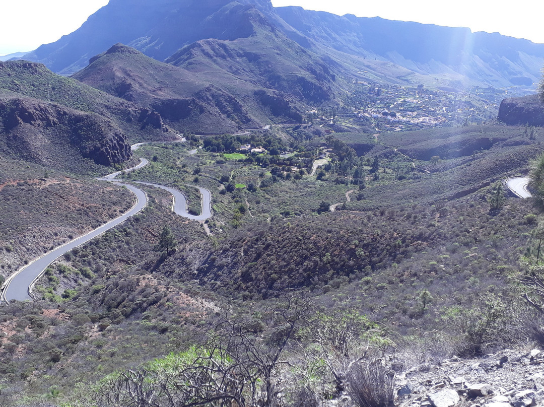 Cyclo Canaria景点图片