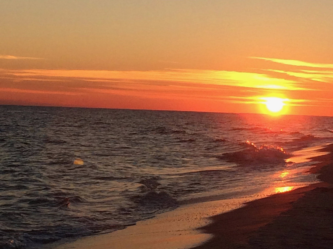 Holiday Inn Express Orange Beach-on the Beach by IHG主图