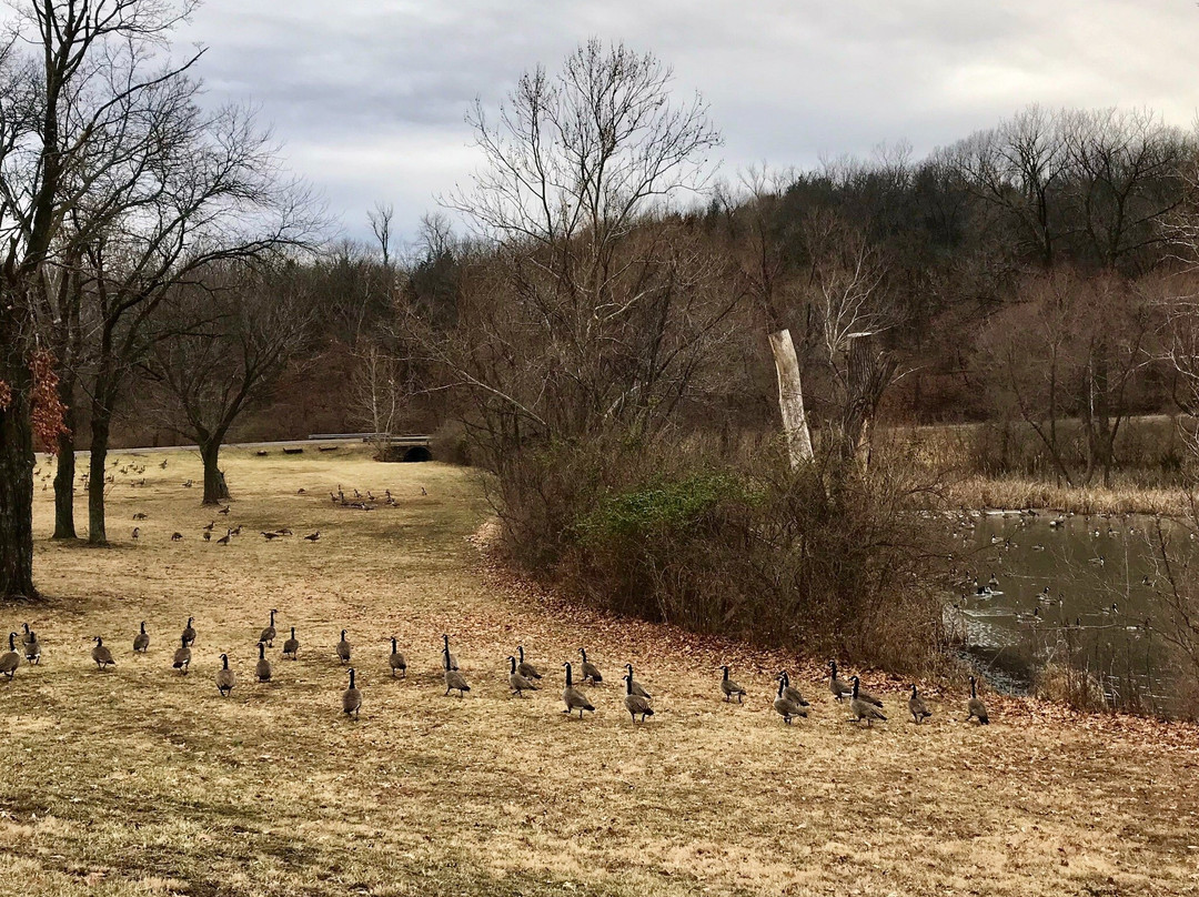 Wyandotte County Lake Park-堪萨斯城必去景点